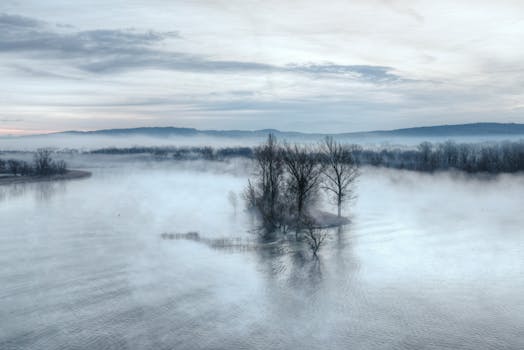 A tranquil view of a fog-covered lake with trees amidst a serene, misty morning landscape.