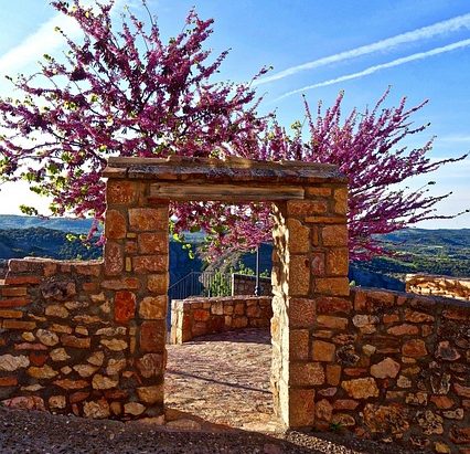 entrance, frame, archway, blossom, red, stone, facade, doorway, frame, doorway, doorway, doorway, doorway, doorway